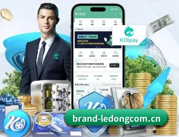 乐动体育 APP | LEDONG SPORTS